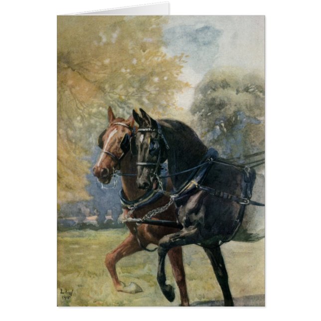 Vintage Black Beauty / Ginger Horses Customisable (Front)
