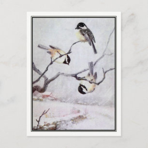 Vintage Black-Capped Chickadee - R. Bruce Horsfall Postcard