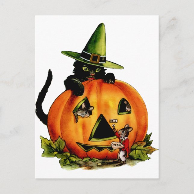 Vintage Black Cat and Pumpkin Postcard (Front)