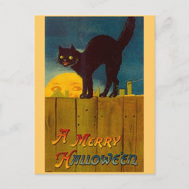 Vintage Black Cat Halloween Postcard (Front)