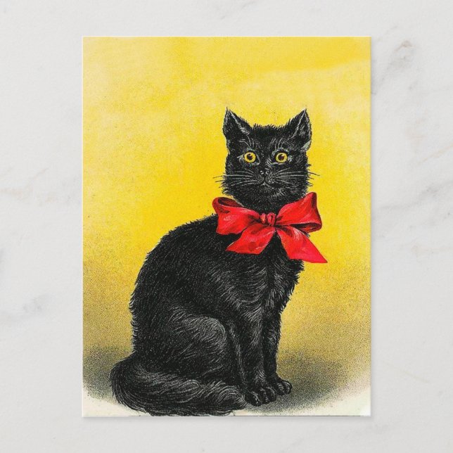 Vintage Black Cat Postcard (Front)
