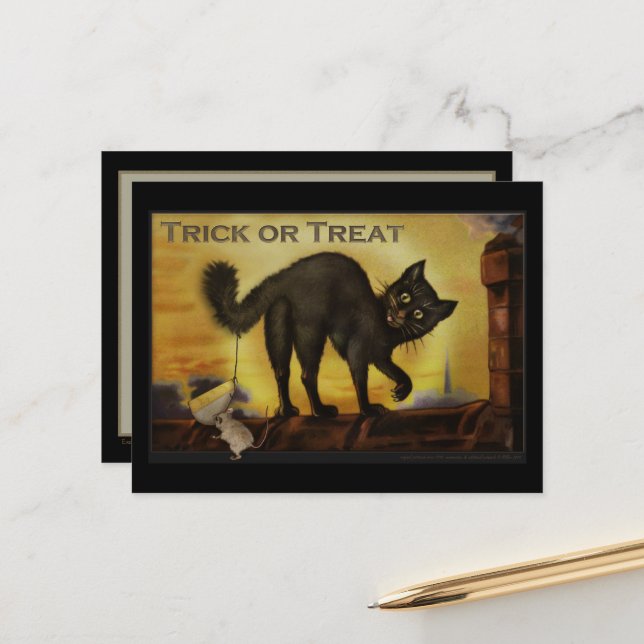 Vintage Black Cat Postcard (Front/Back In Situ)