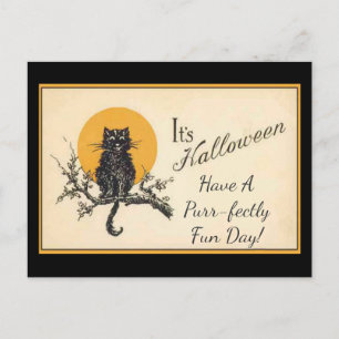 Vintage Black Cat Postcard