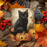 Vintage Black Cat Pumpkin Decoupage  Postcard<br><div class="desc">This design may be personalised by choosing the Edit Design option. You may also transfer onto other items. Contact me at colorflowcreations@gmail.com or use the chat option at the top of the page if you wish to have this design on another product or need assistance. See more of my designs...</div>