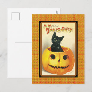 Vintage Black Cat Pumpkin Halloween Postcard