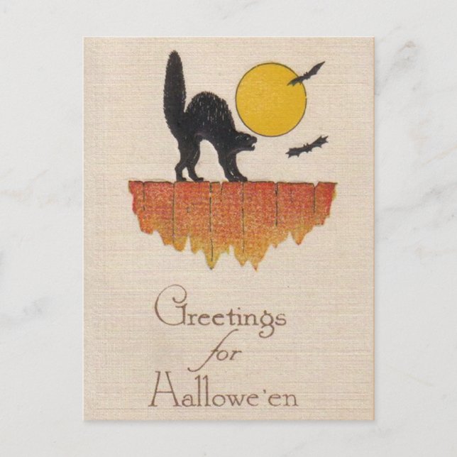Vintage Black Cat, Screech, Halloween Postcard (Front)