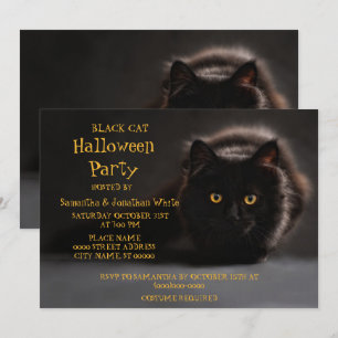 Vintage Black Cat Spooky Evil Halloween Party Invitation