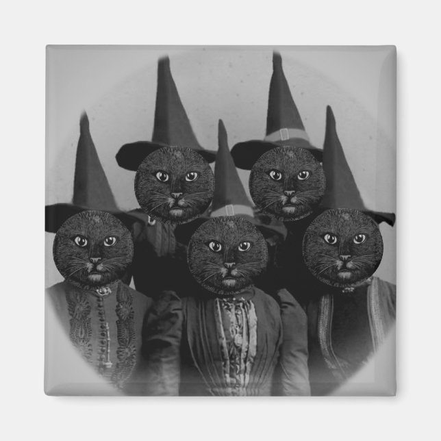 Vintage Black Cat/Witches Magnet (Front)