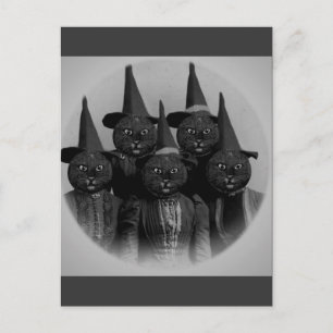 Vintage Black Cat/Witches Postcard