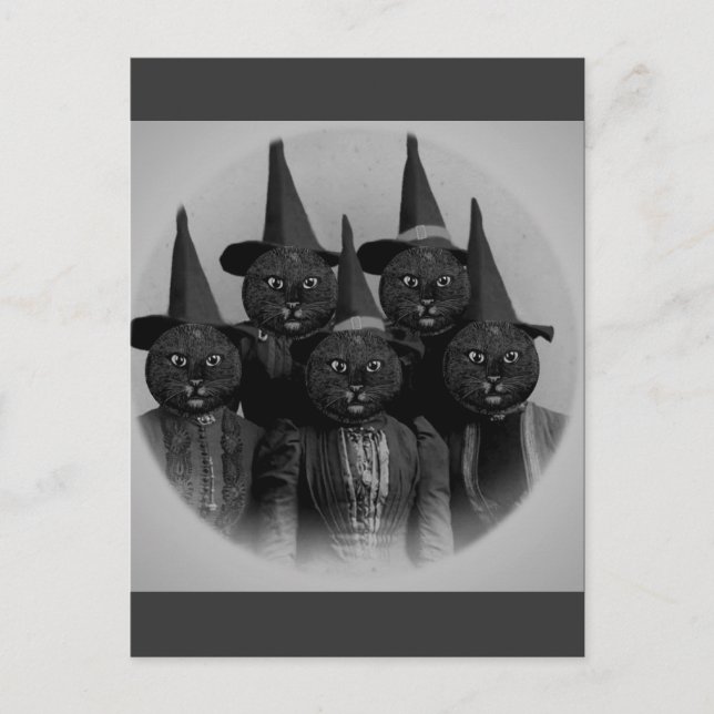 Vintage Black Cat/Witches Postcard (Front)