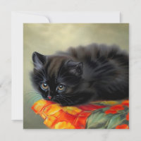 Vintage Black Kitten with Red Flower Blanket