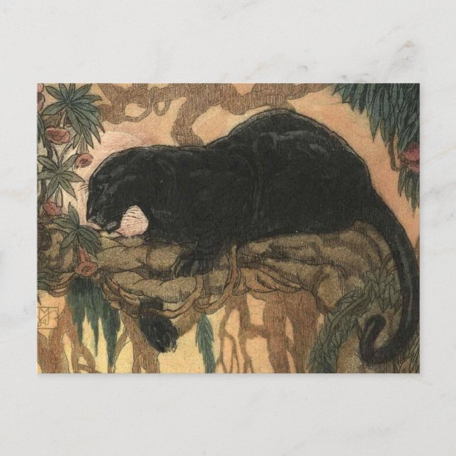 Vintage Black Panther Cat Postcard (Front)