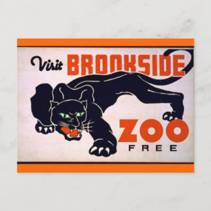 Vintage Black Panther postcard