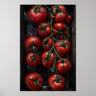 Vintage Black Prince Tomatoes in a Rectangular Met Poster