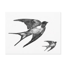 Vintage Black Swallow Design