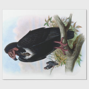 Vintage Black Vulture Bird Decoupage Wrapping Paper