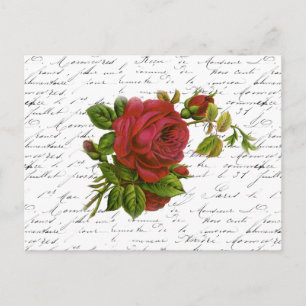 Vintage Black White French Typography Red Rose Postcard