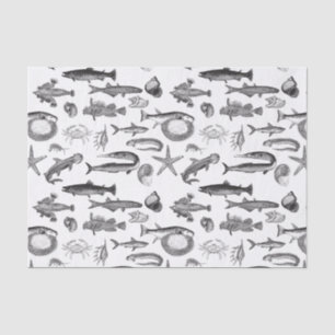 Vintage Black & White Line Art Sea Creatures Tissue Paper