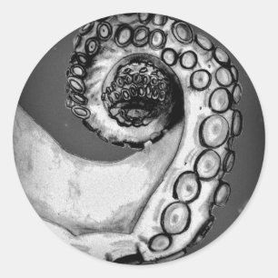 Vintage Black & White Nautical Octopus Tentacle Classic Round Sticker