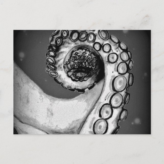 Vintage Black & White Nautical Octopus Tentacle Postcard (Front)