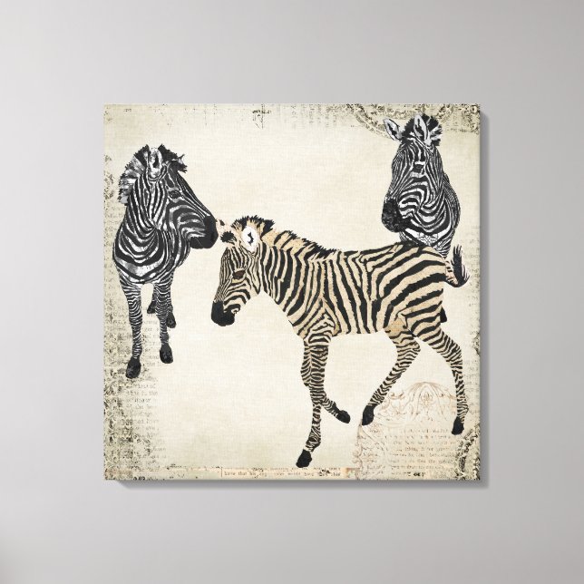 Vintage Black & White Zebra Trio Canvas Print (Front)