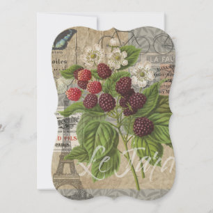 Vintage Blackberries & French Ephemera Art Collage