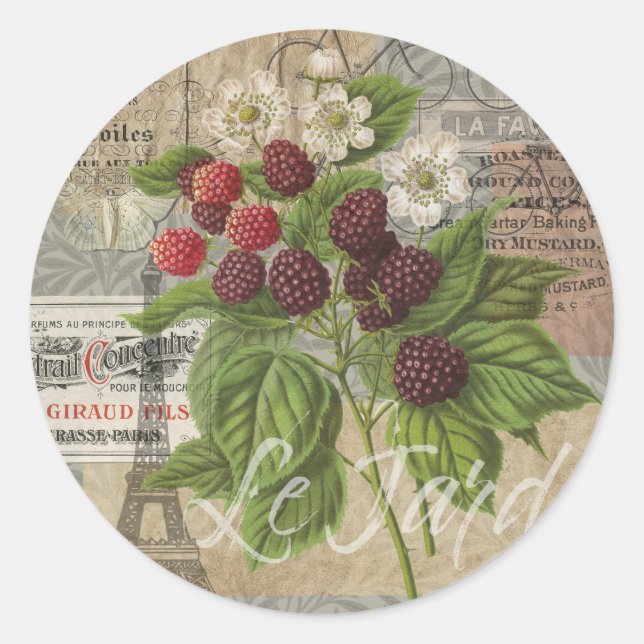 Vintage Blackberries & French Ephemera Art Collage Classic Round Sticker (Front)