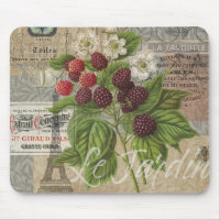 Vintage Blackberries & French Ephemera Art Collage