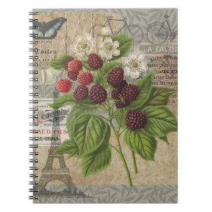 Vintage Blackberries & French Ephemera Art Collage Notebook