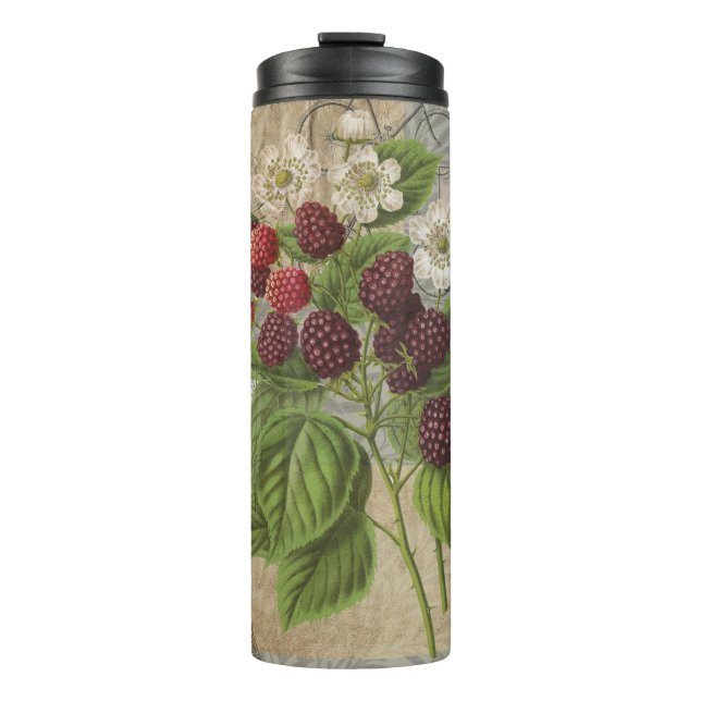 Vintage Blackberries & French Ephemera Art Collage Thermal Tumbler (Front)