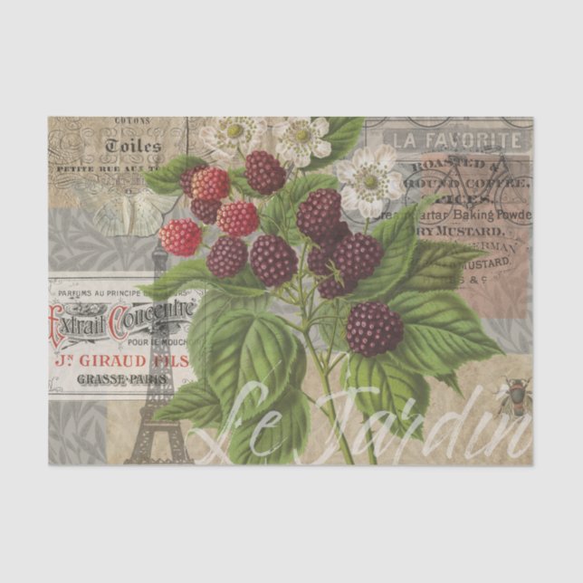 Vintage Blackberries & French Ephemera Art Collage Tissue Paper (Front)