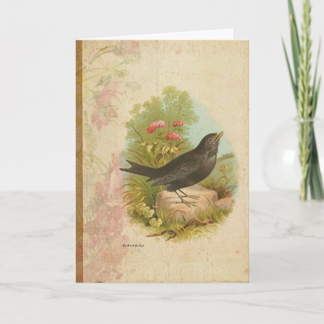 Vintage Blackbird Birthday Card (Front)