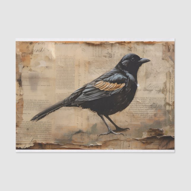 Vintage Blackbird decoupage Gothic Blackbird  Tissue Paper (Front)