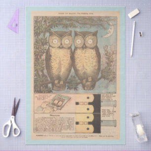 Vintage blinking owl cute fall craft tissue paper