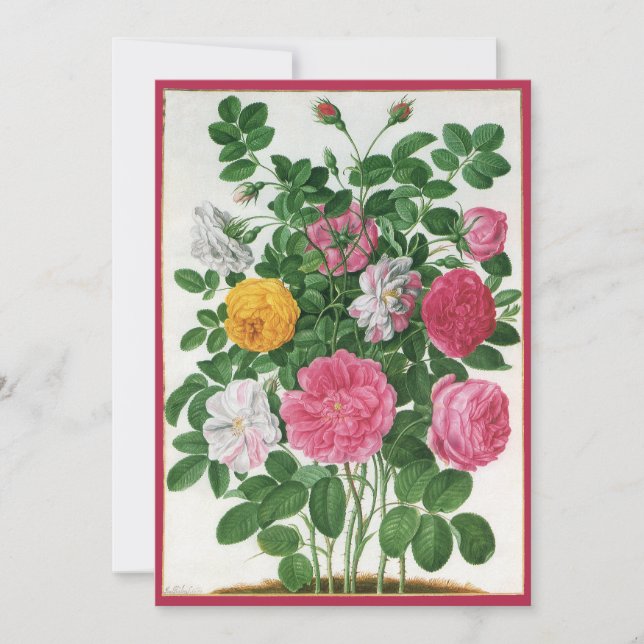Vintage Blooming Flowers, Spring Garden Roses (Front)