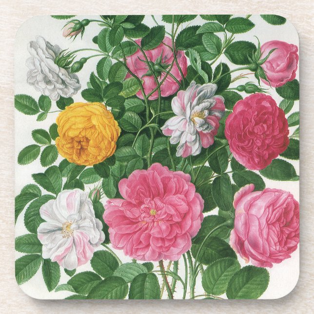 Vintage Blooming Flowers, Spring Garden Roses Coaster (Front)