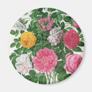 Vintage Blooming Flowers, Spring Garden Roses Magnet