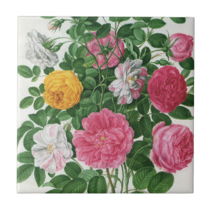 Vintage Blooming Flowers, Spring Garden Roses Tile