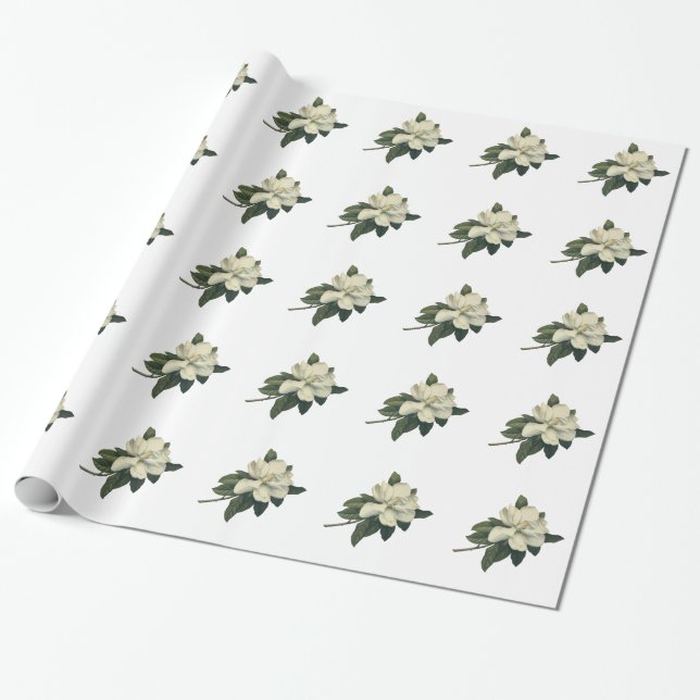 Vintage Blooming White Magnolia Blossom Flowers Wrapping Paper (Unrolled)