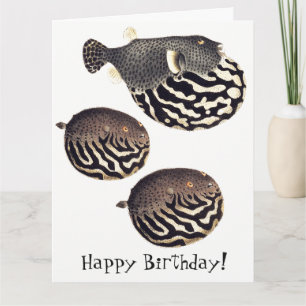 Vintage Blowfish Fish Happy Birthday Big Card