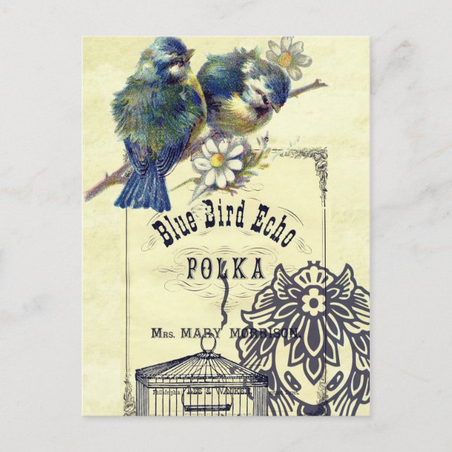 Vintage Blue Bird Birdcage Collage Postcard (Front)