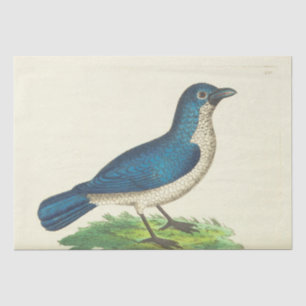 Vintage Blue Bird Ephemera Decoupage Tissue Paper