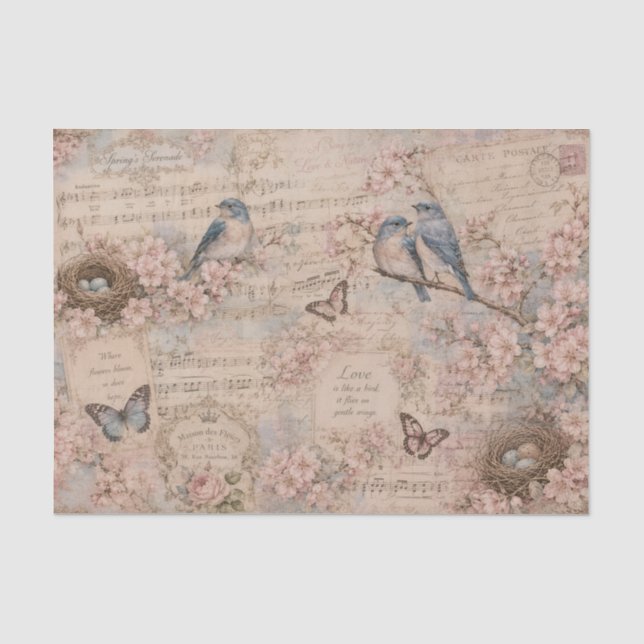 Vintage Blue Birds Cherry Blossoms Sheet Music (Front)