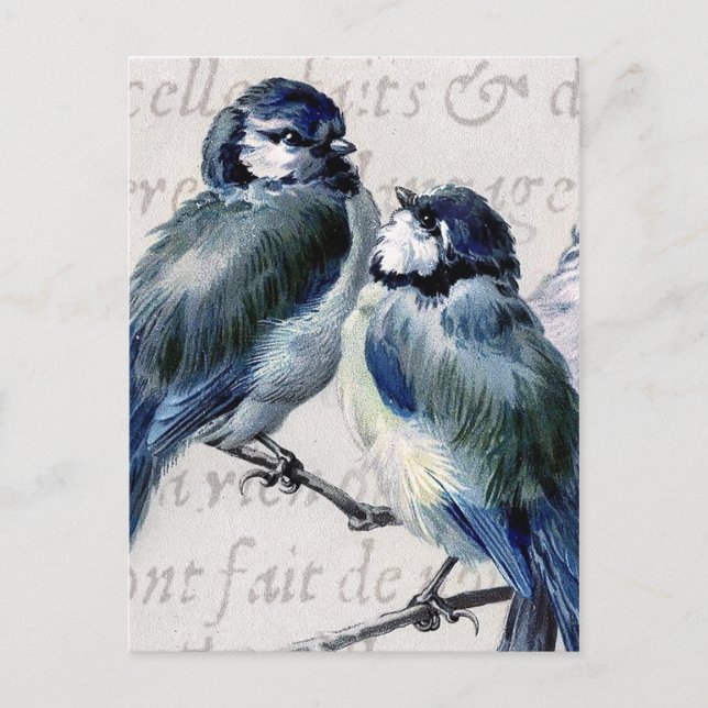 Vintage Blue Birds Collage - Customised Bluebirds Postcard (Front)