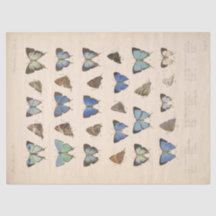 Vintage Blue Butterflies Ephemera Decoupage Teal T