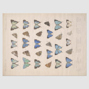 Vintage Blue Butterflies Ephemera Decoupage Teal T Tissue Paper