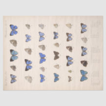 Vintage Blue Butterflies Ephemera Decoupage Teal