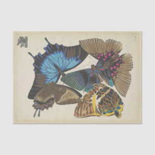 Vintage Blue Butterfly Ephemera Decoupage Script T Tissue Paper