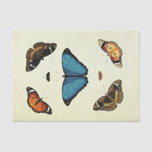 Vintage Blue Butterfly Ephemera Decoupage Script T Tissue Paper