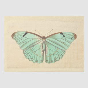 Vintage Blue Butterfly Ephemera Decoupage Teal Tis Tissue Paper